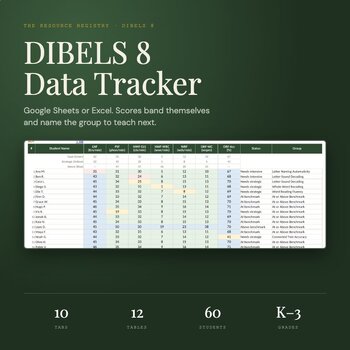 DIBELS 8 Data Tracker Spreadsheet | K-8 Google Sheets + Excel | Auto-Scoring
