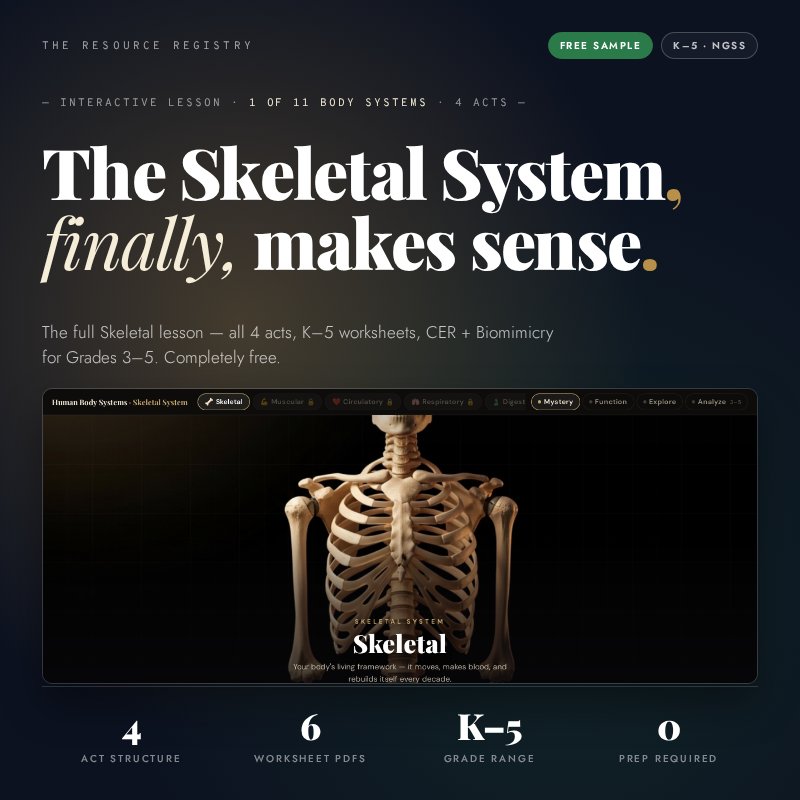 FREE Skeletal System Lesson + K-5 Worksheets